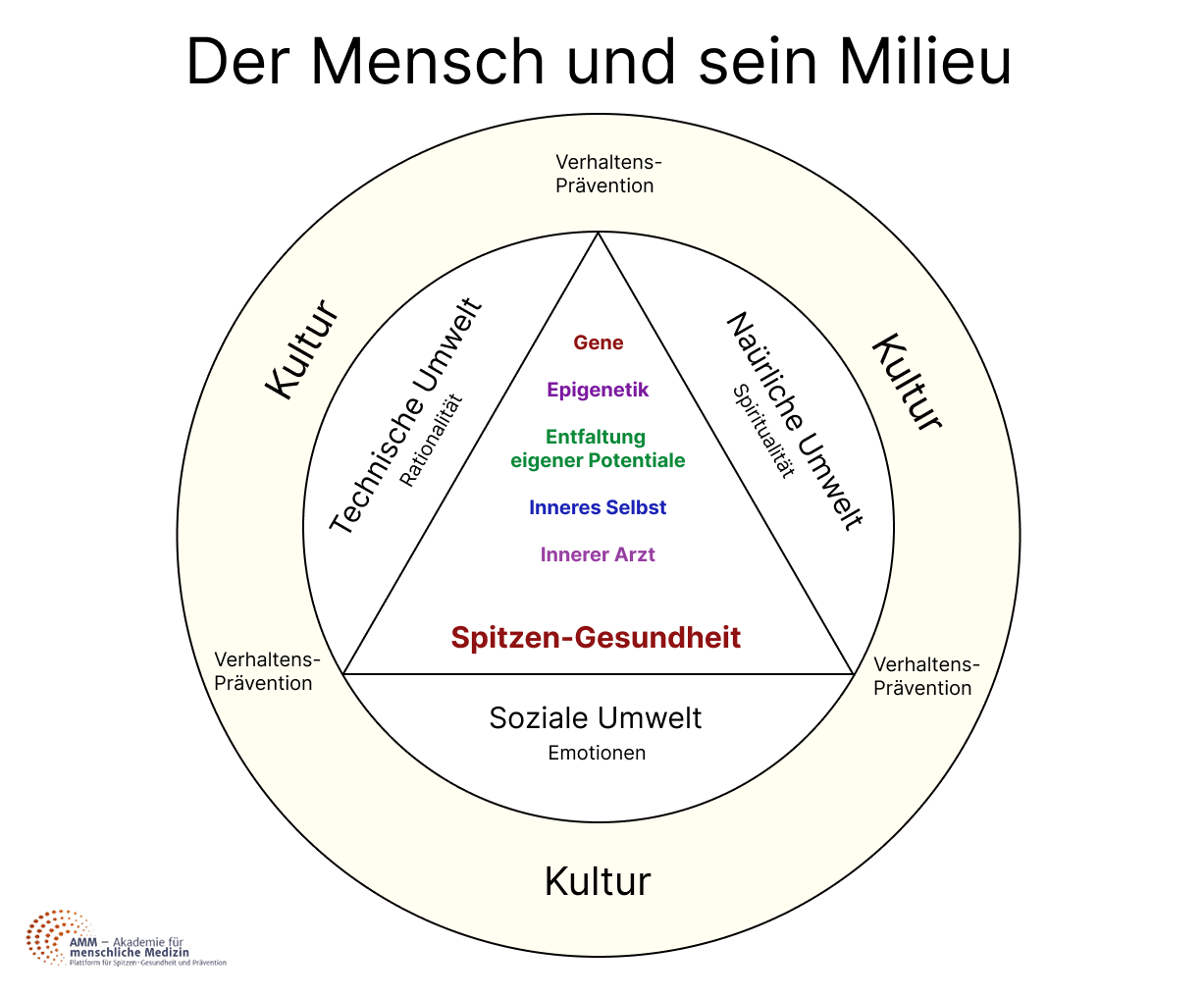 Der Mensch und sein Milieu: Faktoren die alle die Gesundheit beeinflussen
